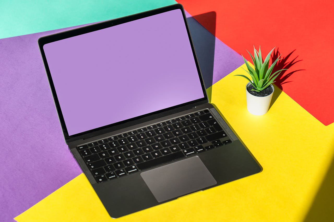 Modern laptop on vibrant colored background with a potted plant.